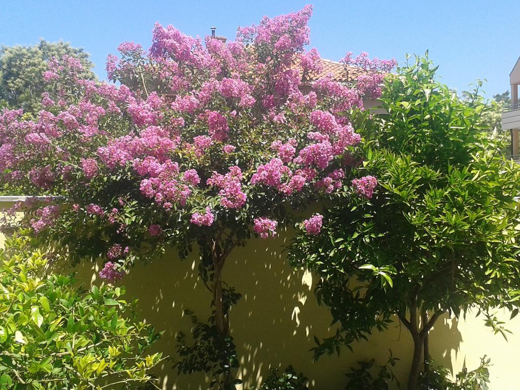 Apartament Zoky Split