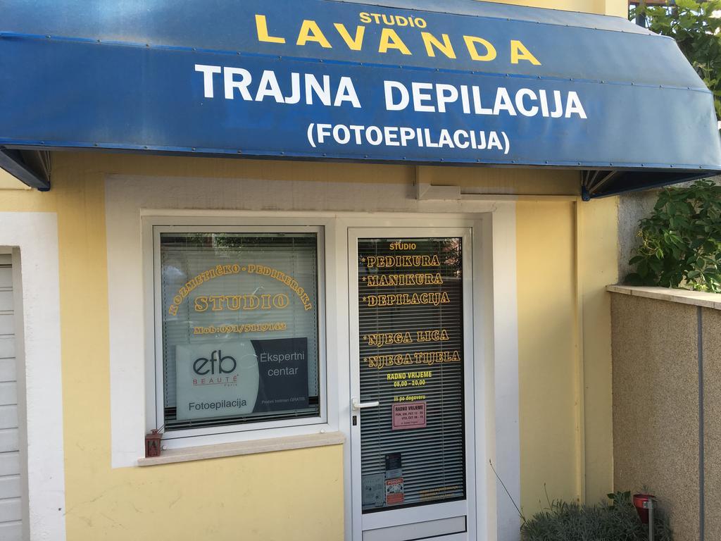 Apartament Zoky *